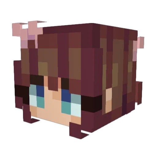 Vleir Minecraft avatar head, 3D render