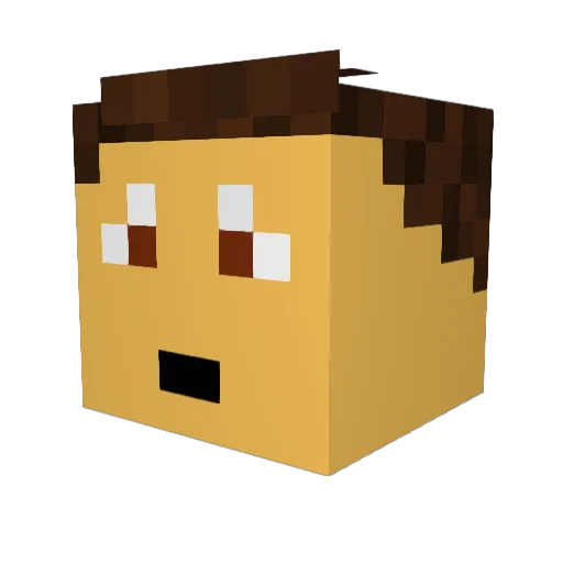 Vluchtelingen Minecraft avatar head, 3D render