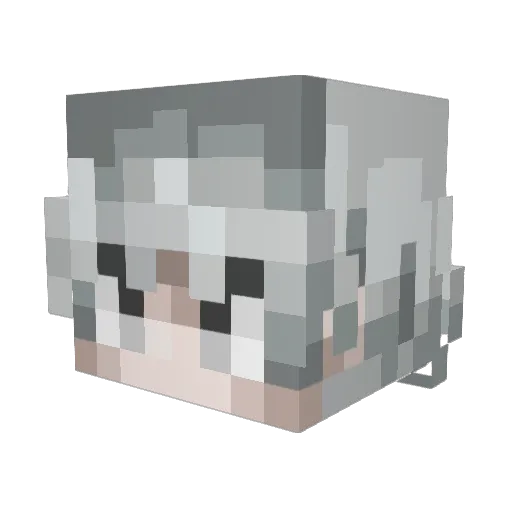 Vm0r Minecraft avatar head, 3D render