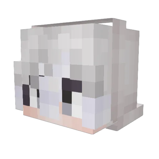 Vmerayd Minecraft avatar head, 3D render