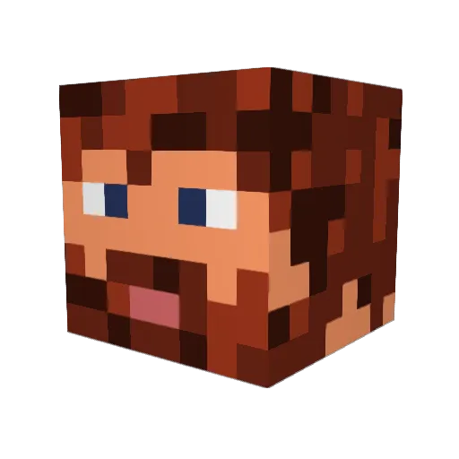 Vne_Flyer Minecraft avatar head, 3D render