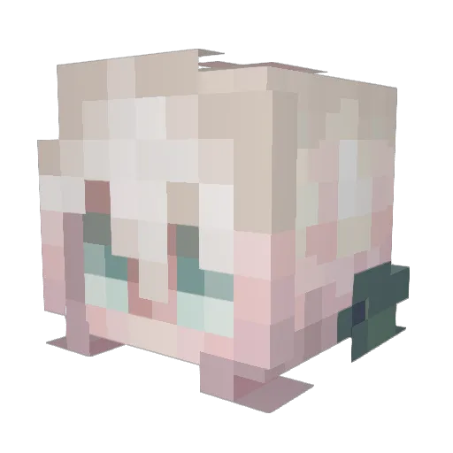 Vnmsnakes Minecraft avatar head, 3D render