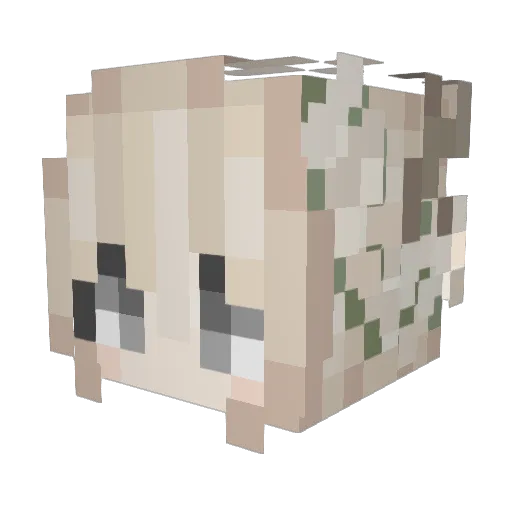 Vnzsa Minecraft avatar head, 3D render