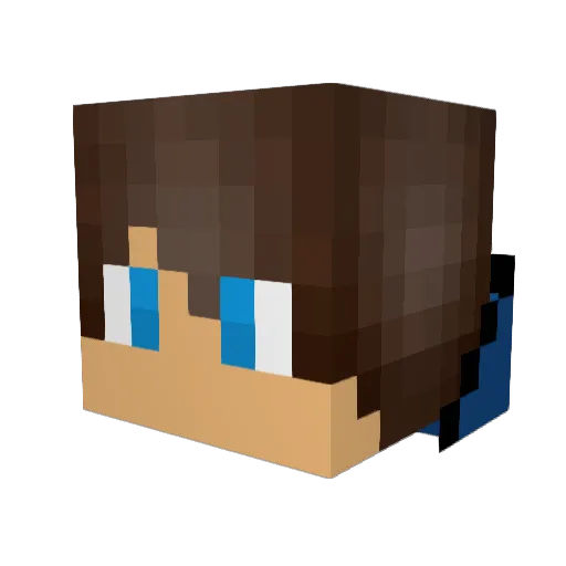 VoTiPeeterson Minecraft avatar head, 3D render