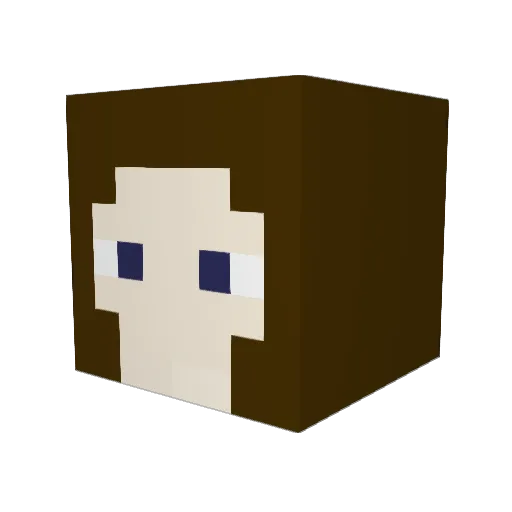 Vocan4354 Minecraft avatar head, 3D render
