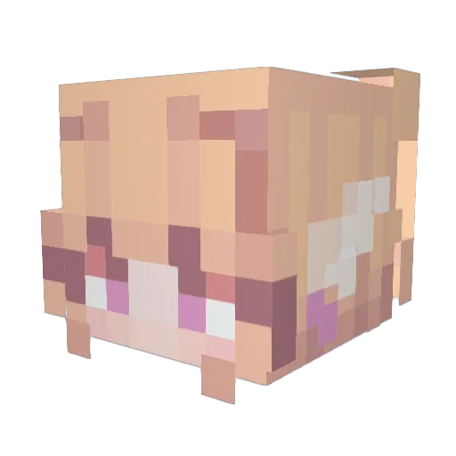 Voches Minecraft avatar head, 3D render