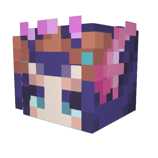 Vodene Minecraft avatar head, 3D render