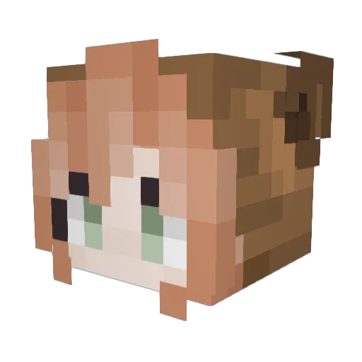 VodkaSlet Minecraft avatar head, 3D render