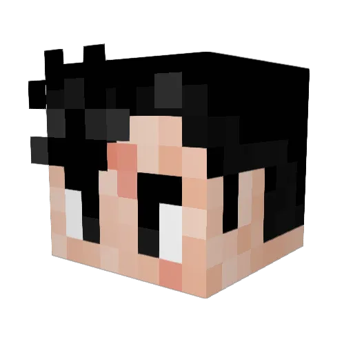 Voertigen Minecraft avatar head, 3D render