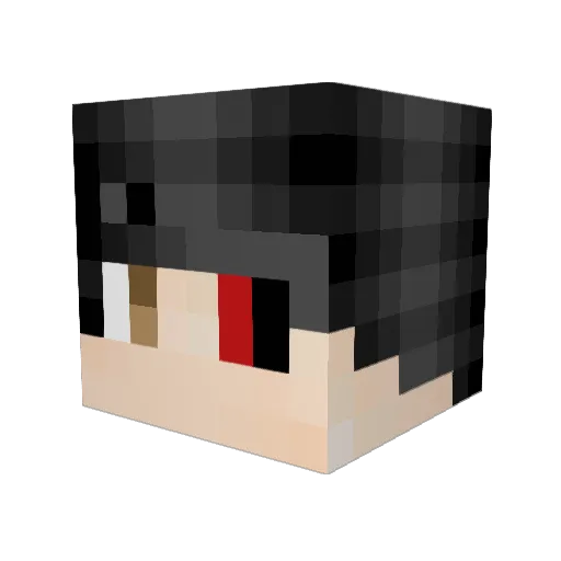 Voez_ Minecraft avatar head, 3D render