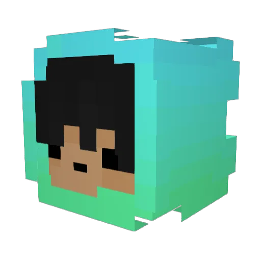 VogelTSR Minecraft avatar head, 3D render