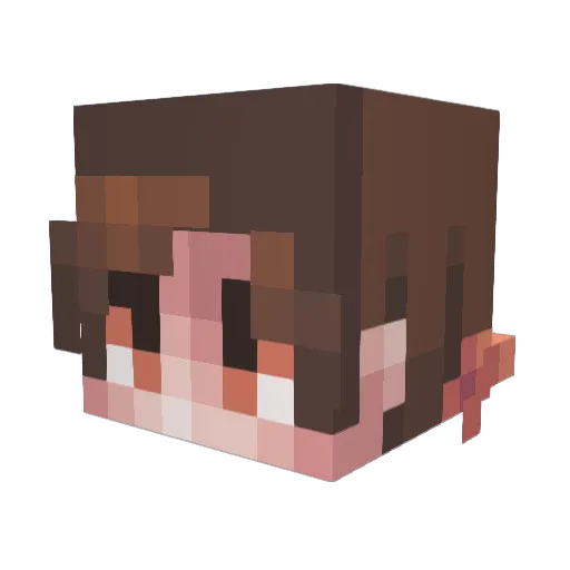 Vogel_TV Minecraft avatar head, 3D render