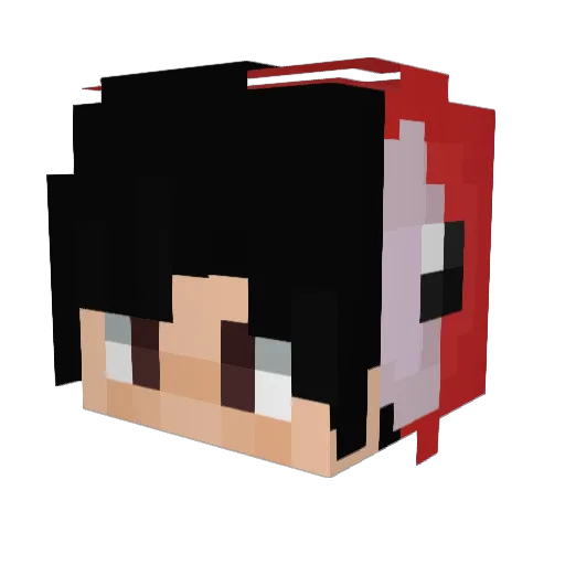 Vogeldier Minecraft avatar head, 3D render
