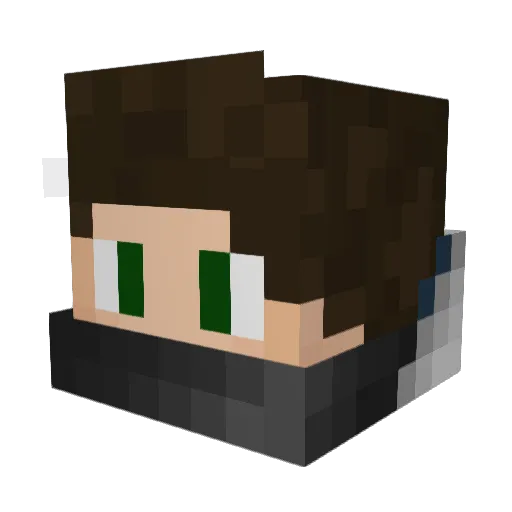 Vogelzera Minecraft avatar head, 3D render