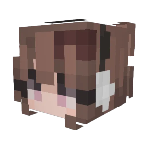 Vohel_ Minecraft avatar head, 3D render