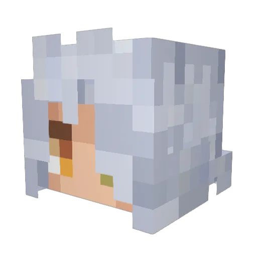 VoiKoi Minecraft avatar head, 3D render