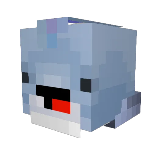 VoicedDolphin76 Minecraft avatar head, 3D render