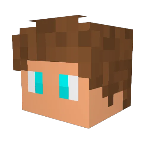 Void818 Minecraft avatar head, 3D render
