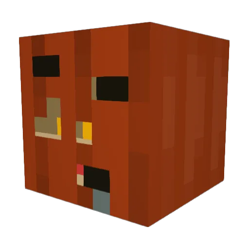 Void9263 Minecraft avatar head, 3D render