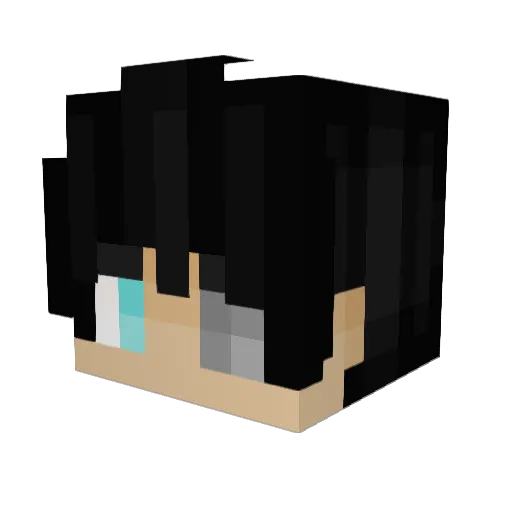 VoidArrow1 Minecraft avatar head, 3D render