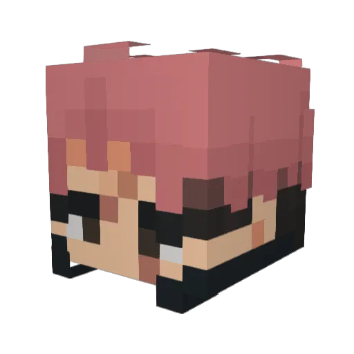 VoidCat11 Minecraft avatar head, 3D render