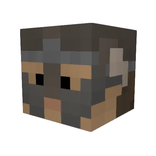 VoidChests Minecraft avatar head, 3D render