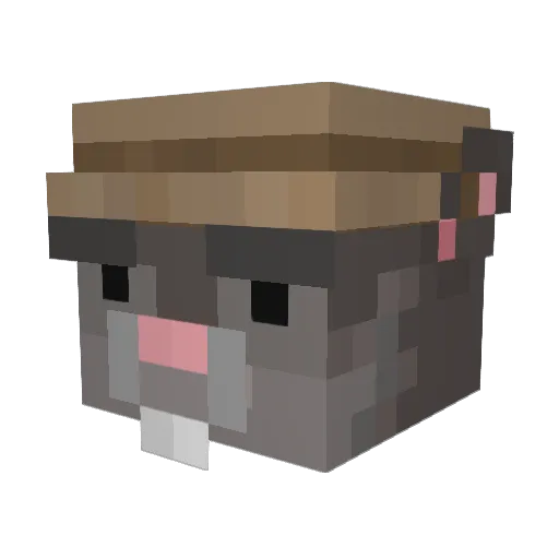 VoidDamien Minecraft avatar head, 3D render