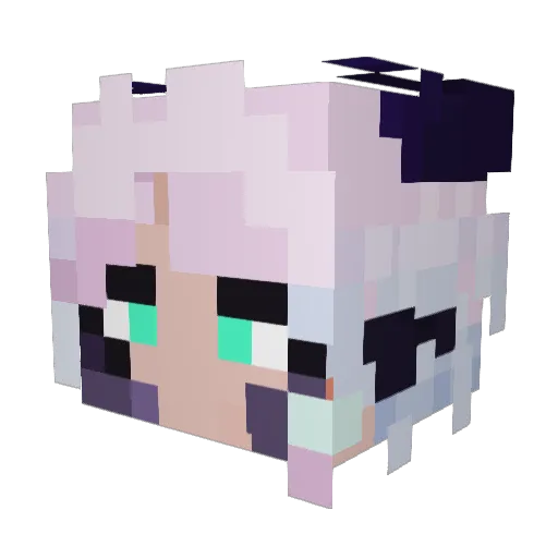 VoidDragonKing1 Minecraft avatar head, 3D render