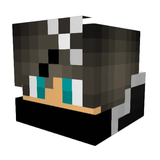 VoidFragments Minecraft avatar head, 3D render