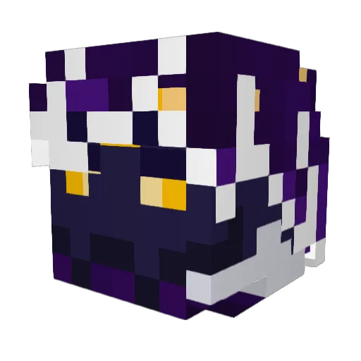VoidFulruun Minecraft avatar head, 3D render