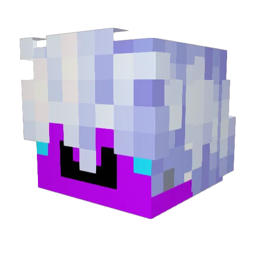 VoidHades Minecraft avatar head, 3D render
