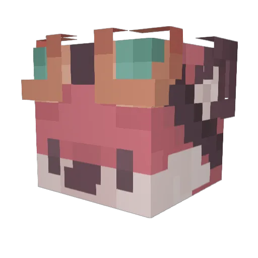 VoidKip Minecraft avatar head, 3D render