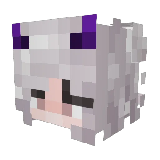 VoidKitten Minecraft avatar head, 3D render