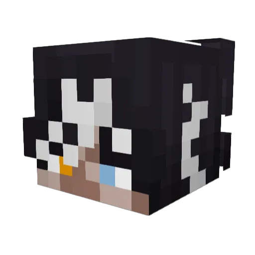 VoidLossMC Minecraft avatar head, 3D render