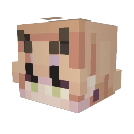 VoidLovesThoma Minecraft avatar head, 3D render