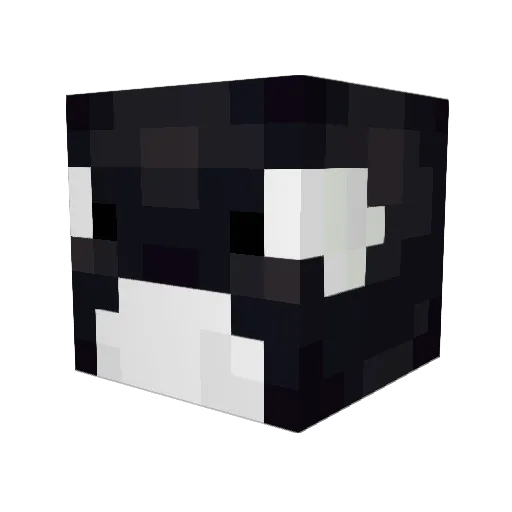 VoidMageOrca Minecraft avatar head, 3D render