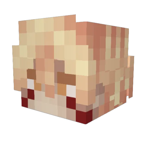 VoidOfPsycho Minecraft avatar head, 3D render
