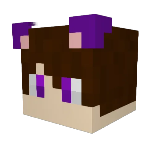 VoidPelt Minecraft avatar head, 3D render
