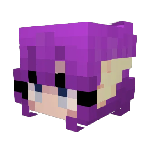VoidRaiden Minecraft avatar head, 3D render