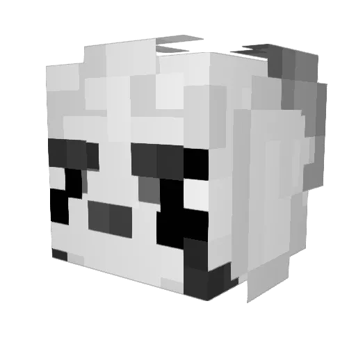 VoidRokkitYT Minecraft avatar head, 3D render