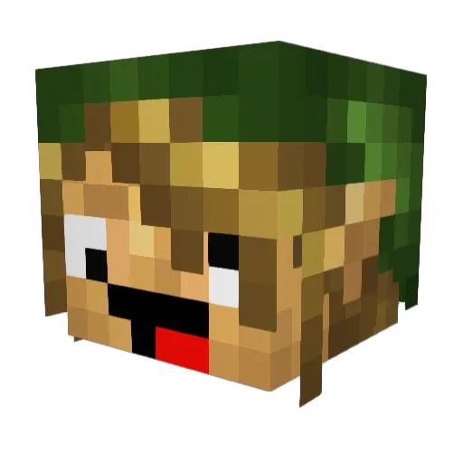 VoidStitchbro Minecraft avatar head, 3D render