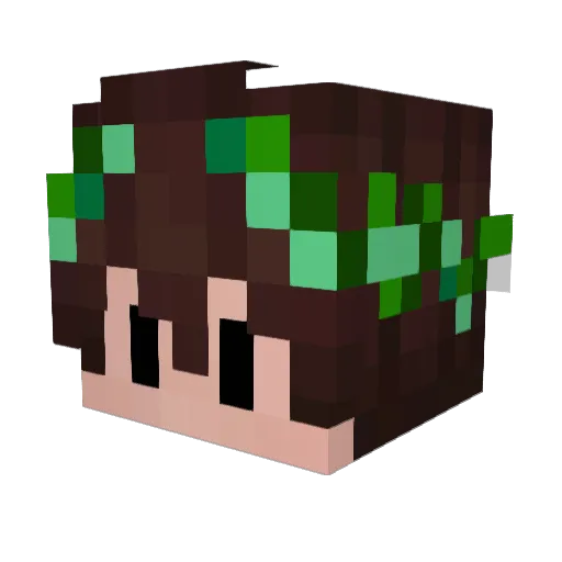 VoidSupress Minecraft avatar head, 3D render