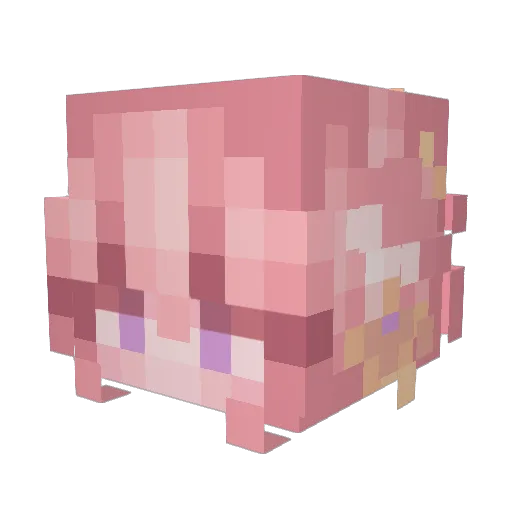 Void_17 Minecraft avatar head, 3D render