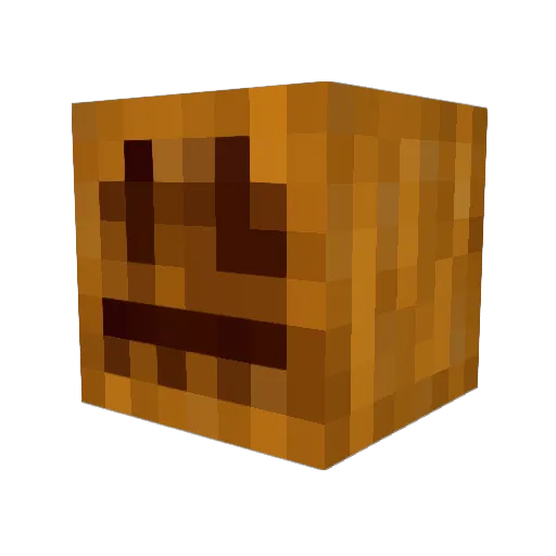 Void_4 Minecraft avatar head, 3D render