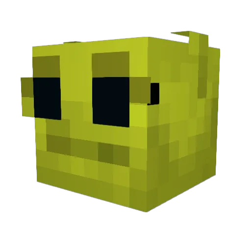 Void_Affect Minecraft avatar head, 3D render