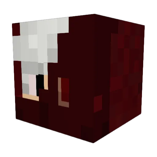 Void_Block Minecraft avatar head, 3D render