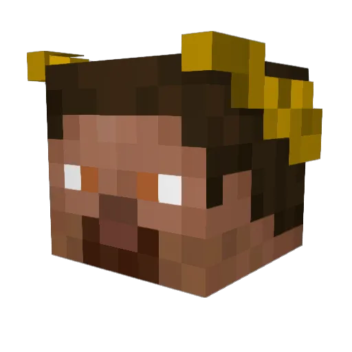 Void_Real2 Minecraft avatar head, 3D render