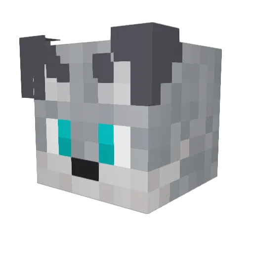 Void_Spectre01 Minecraft avatar head, 3D render