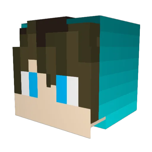 Void_XP0 Minecraft avatar head, 3D render