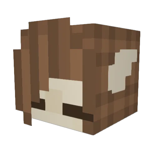 Void_flower Minecraft avatar head, 3D render